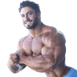 MUSCLED SUPREMACY