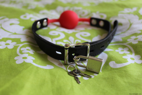 bdsmgeekshop:Red Silicone Ball Gag with Lockable Leather Strap