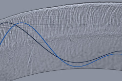 neurosciencestuff:  Nanopores underlie our