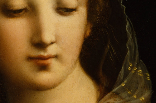 daughterofchaos: Raphael, Madonna of the Candelabra, detail, 1513