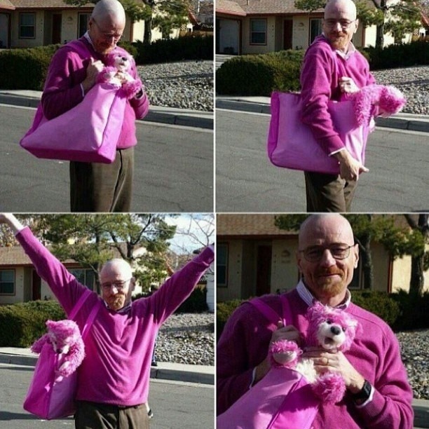 Aaron Paul Instagrammed the best Breaking Bad set pic ever
Walter White don’t die, he just becomes more fabulous.
Link
Submitted by DigiDiva