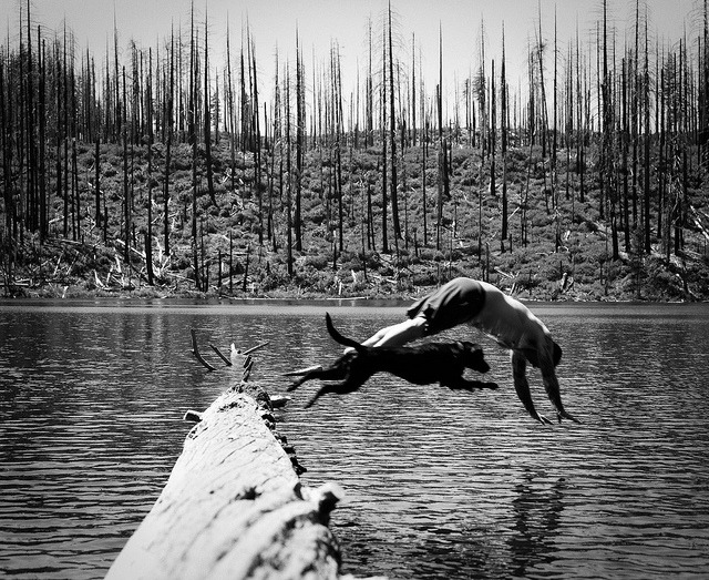 By Foot or By Canoe