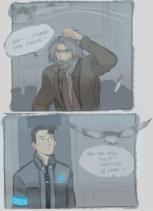rk8con:“idk we kept having this conversation about #dbhconnor snatching birds out of the air a