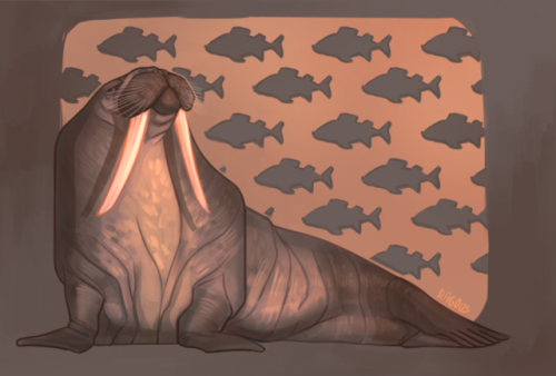 Walrus for stylized animals challenge.timelapse: https://www.youtube.com/watch?v=_UzlZoluM5c&t=0