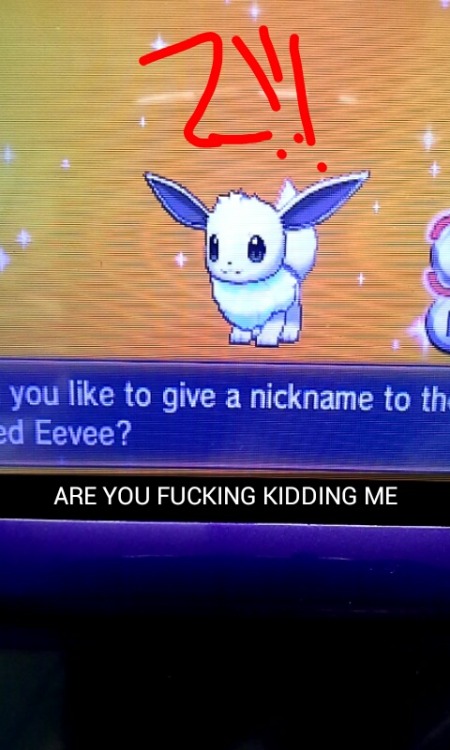 I HAVE BEEN TRYING TO GET A SHINY EEVEE SINCE JANUARY AND I JUST GOT 2 IN ONE NIGHT????