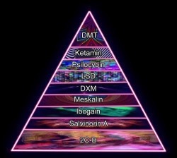 isitthedopetalking:  pyramid of life