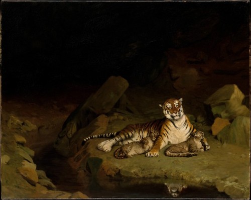 met-european-paintings:Tiger and Cubs by Jean-Léon Gérôme, European PaintingsMedium: Oil on canvasBe