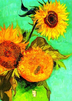 translucentmind:  Sunflowers // Vincent Van