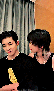 Black Cat Line