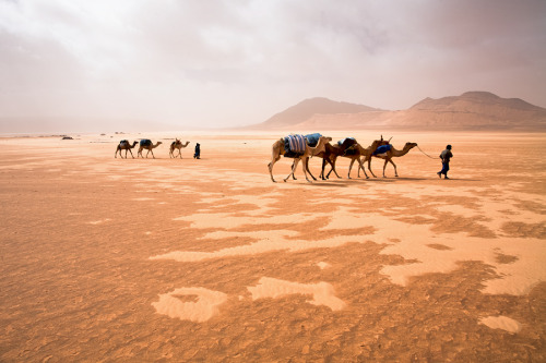 djazairi:Have you got the chance to visit the Algerian Desert before?Tamenrasset, Algeria