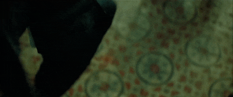 The Grandmaster (2013)