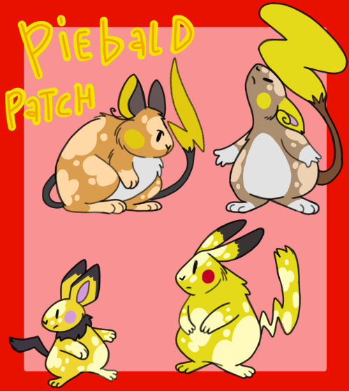 Pikachu Evolution Variants