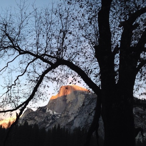 Just another ordinary #Yosemite Valley #sunset with Half Dome #winter #photography #HalfDome
