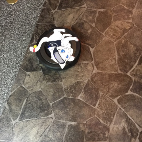 忍者ネコ（お掃除猫ロボ）