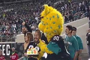 sizvideos:  Watch the hilarious moment when a mascot pies a Texans fan with cake