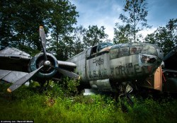 pistonwings:  abandoned B-25 Mitchell