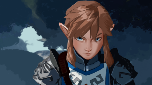 The Hero Of Hyrule