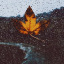 autumnleavesandchaiteas