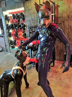 rubberforfun:  Yummy 🤤 #rubber #latex #fetish #bdsm #bondage #playroom #redroom #rubberforfun #forfun