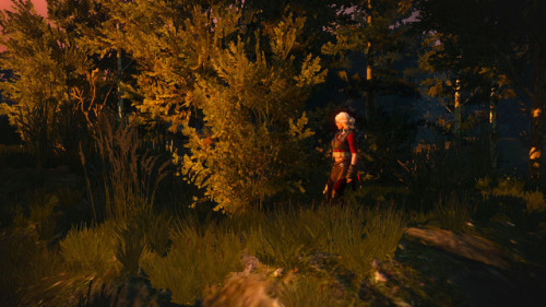 vic-of-thor:melasaik:Dear Geralt, I am happy to let you know that I am alive and well, my first lett