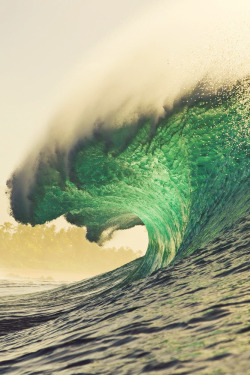 highenoughtoseethesea:   Massive. Photo: