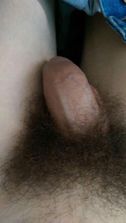 hairychorizos: Thanks @AlexNightmurr for the submission!