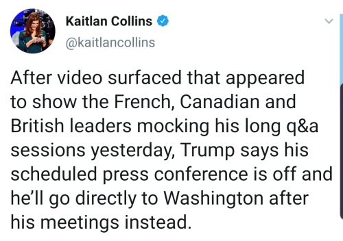 liberalsarecool:Trump got laughed off an entire continent. The &lsquo;best brain&rsquo;