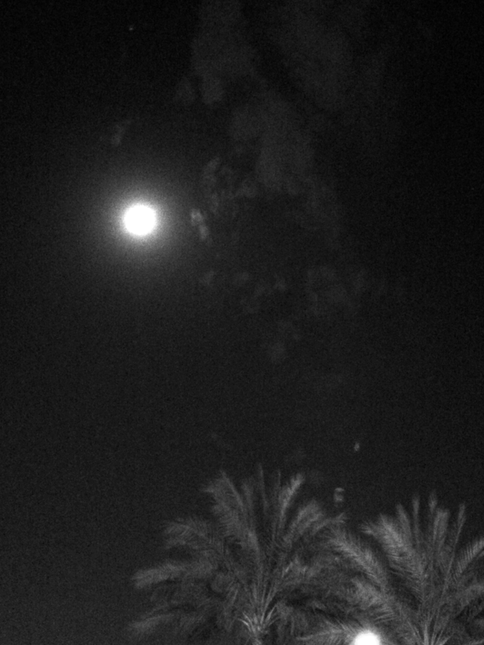 Night sky&hellip; Marvelous