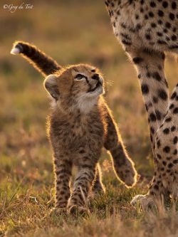 earthlynation:  A Tender Moment