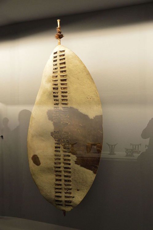 19th century Zulu shield.  Now in the Musée du quai Branly, Paris.