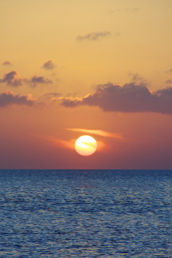 Sunset on the Laguna Madre by (Elizabeth Brossa)