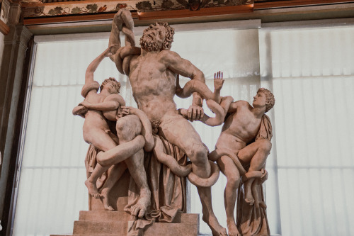 Laocoonte - Uffizi Gallery, Firenze, Italy