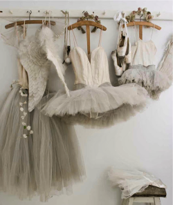 no-post-code-envy:  Ah! All that tulle na