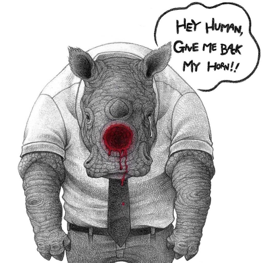 haladeliyim:  Stop Animal Cruelty!  (via Instagram - Artist Unknown) 