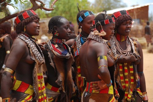 tribalbeauties:Hamar Tribe