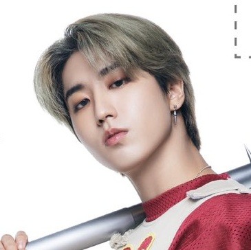 Han Jisung + Lee Felix Icons.
