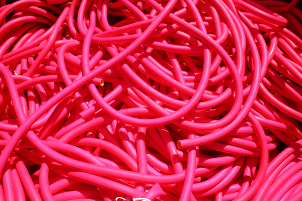 martinekenblog:  Pink Punch, with Michaela MacLeod - Jardins de Métis Internationl