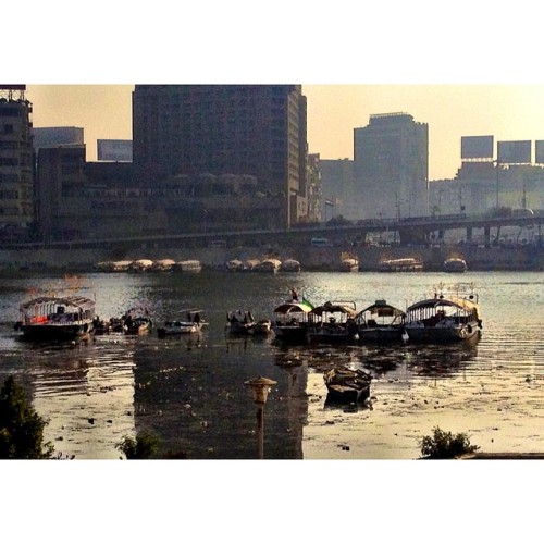 Early morning life on the Nile. Taken Oct. 2014. #everydayEgypt #Zamalek #serenity #instasize