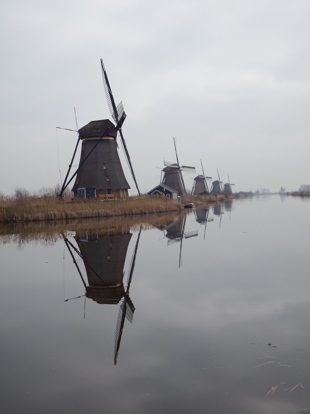 breathtakingdestinations:  Kinderdijk - Netherlands (by fdecomite) 