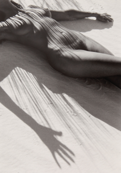 regardintemporel:  Lucien Clergue - Nude