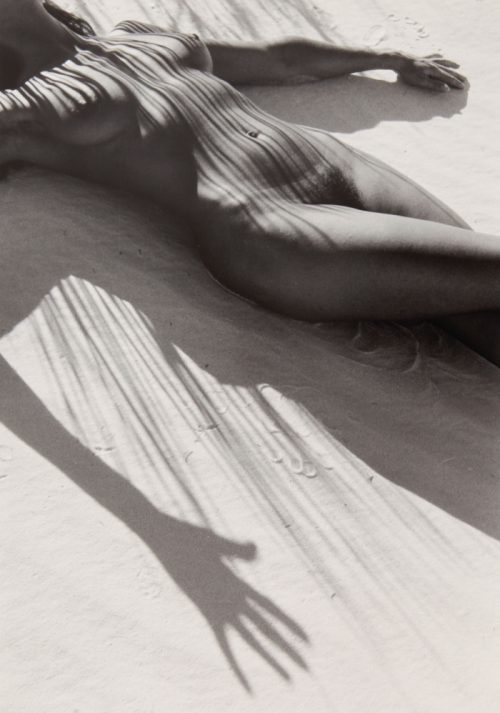 regardintemporel:  Lucien Clergue - Nude porn pictures