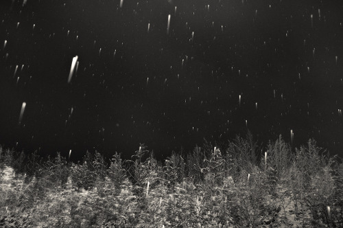showmeyourufo: © Malgorzata Sajur http://malgorzatasajur.tumblr.com 