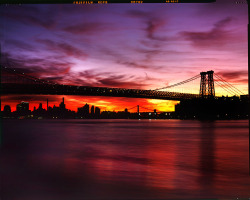 citylandscapes:  New York City as seen from Brooklyn Source: Lindsay Blair Brown (flickr) 