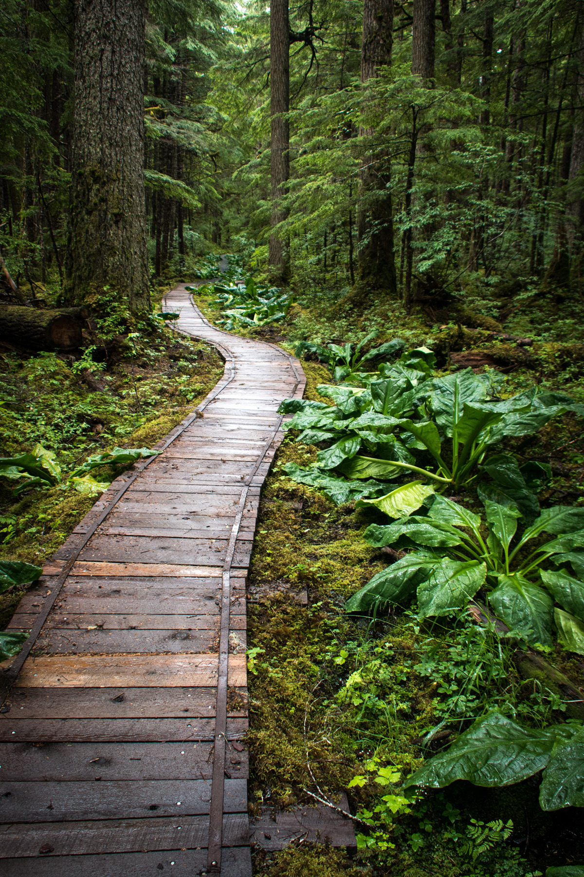 renamonkalou:  Alaska Juneau |  Richard  