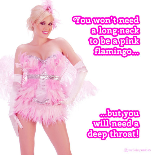 tgirlinthemirror: jessicasissygirl: unkownsissy69: I want them all All please Sissies love pink!