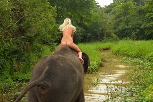 outdoorspanner:Sie wollte schon immer nackt auf einem Elefanten reiten. Ob sie auch nackt als Wichsv