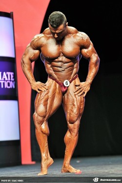 welcometomuscleville:Lost in his own striations. And who can blame him?! Eduardo Correa