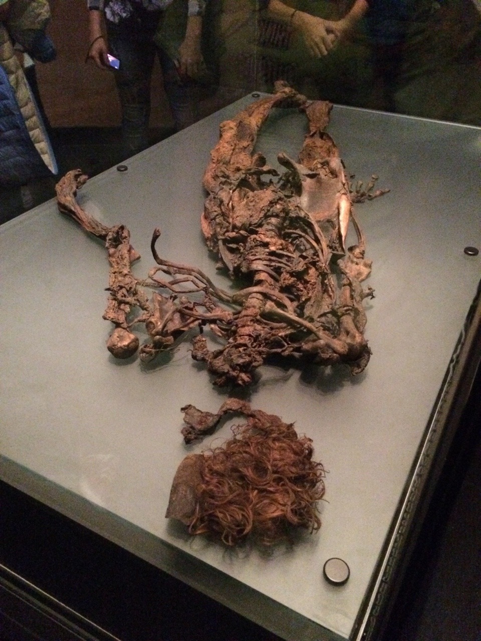 sarahthewonderfilled:  For sixpenceee! The bog bodies of Ireland! Reeaallly old mummified