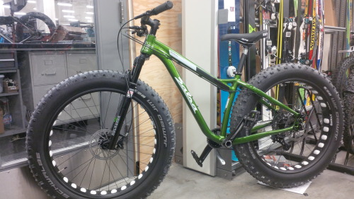 perle-glaciaire:Look at my beautiful new fatbike.