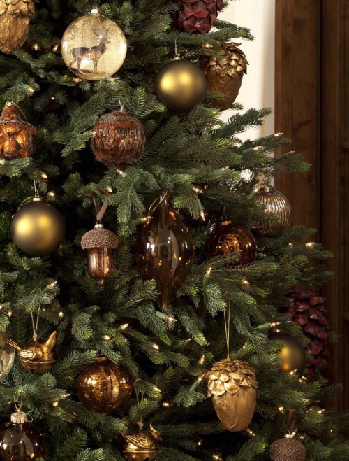 christmas-merry-and-bright:❄️ Christmas Winter Dreamin ❄️